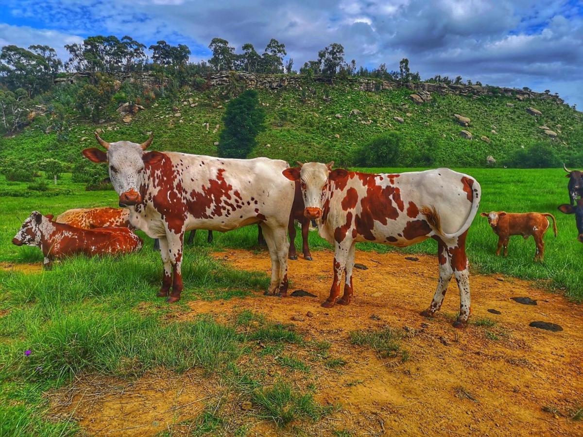 Oban Historical Guest Farm Βίλα Van Reenen Εξωτερικό φωτογραφία