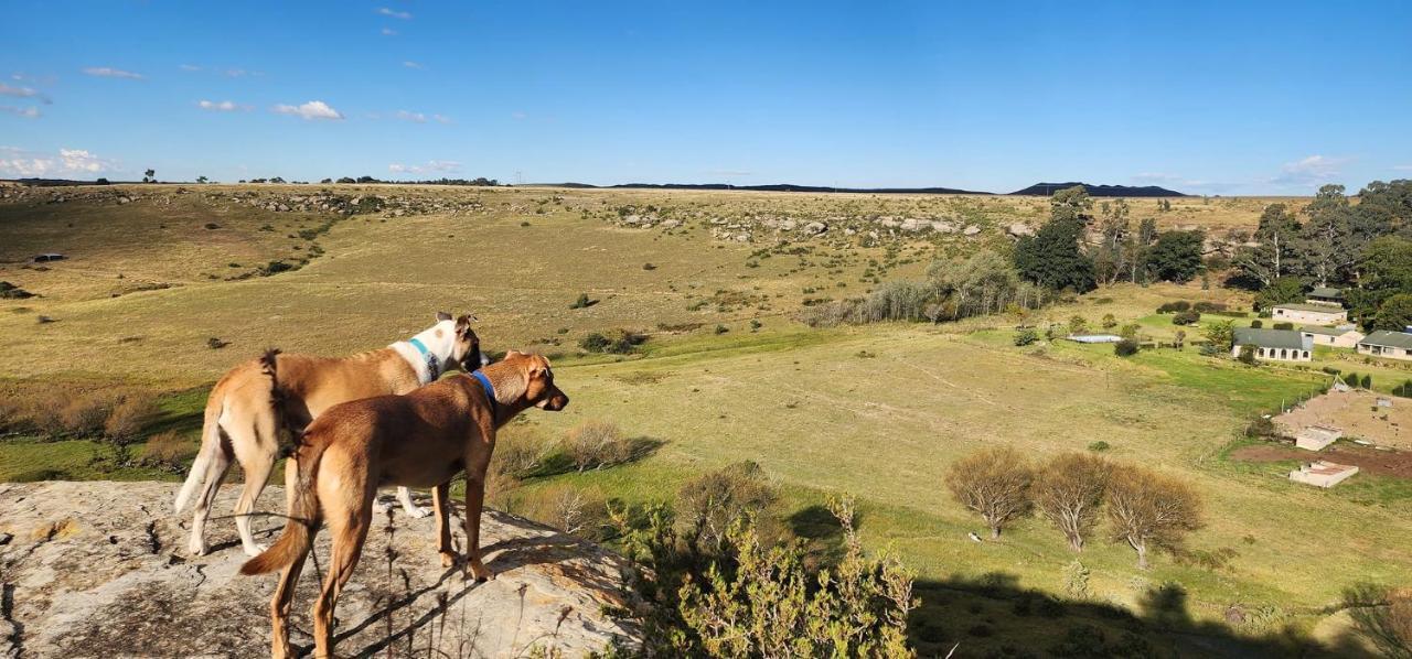 Oban Historical Guest Farm Βίλα Van Reenen Εξωτερικό φωτογραφία